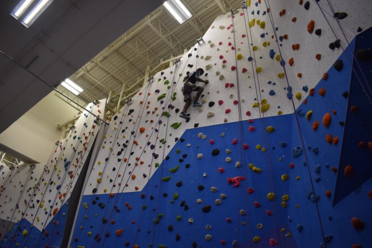 254554154 5096633883698865 7531069982417587647 n 768x512