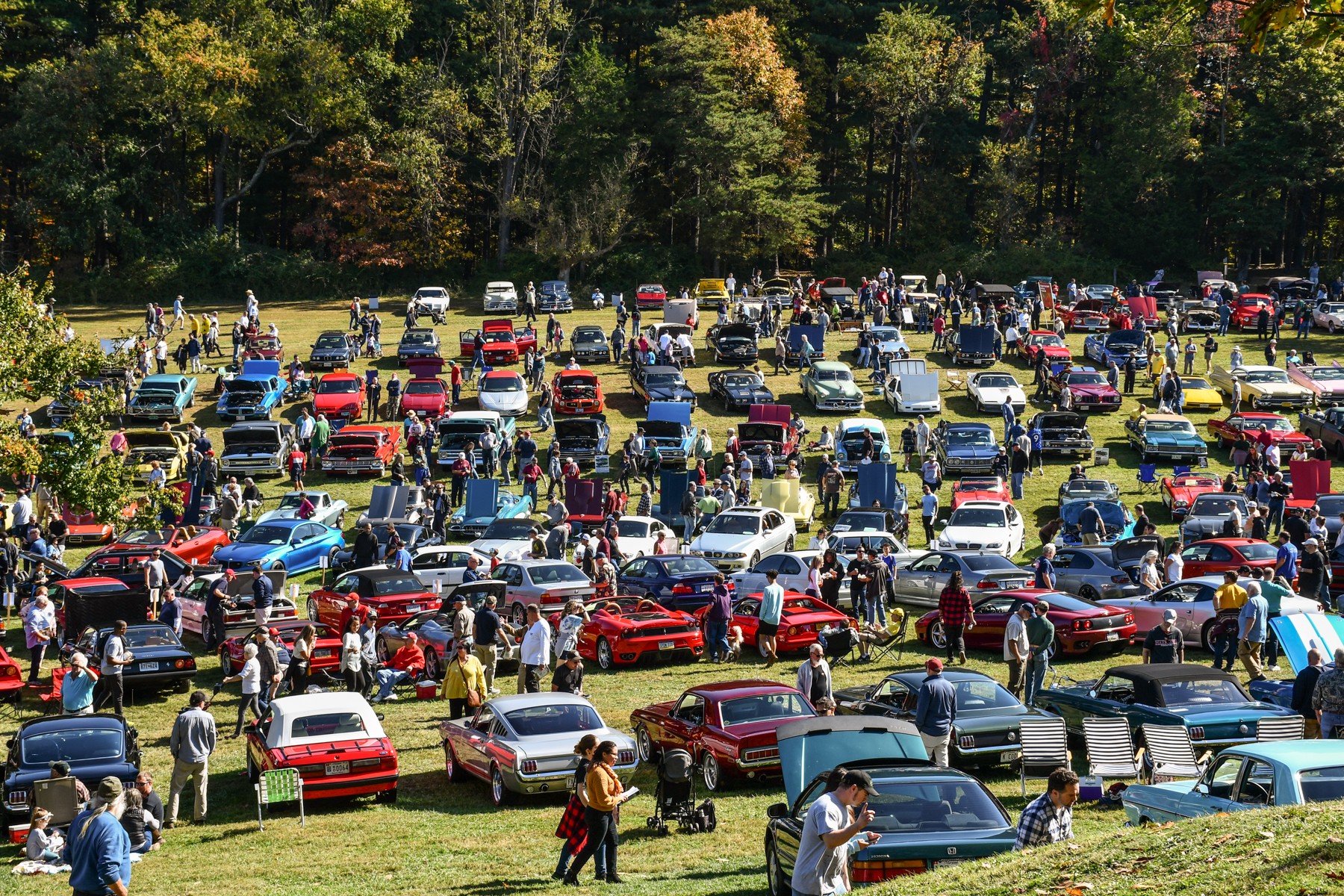 Cruise into a Timeless Tradition The Rockville Antique and Classic Car