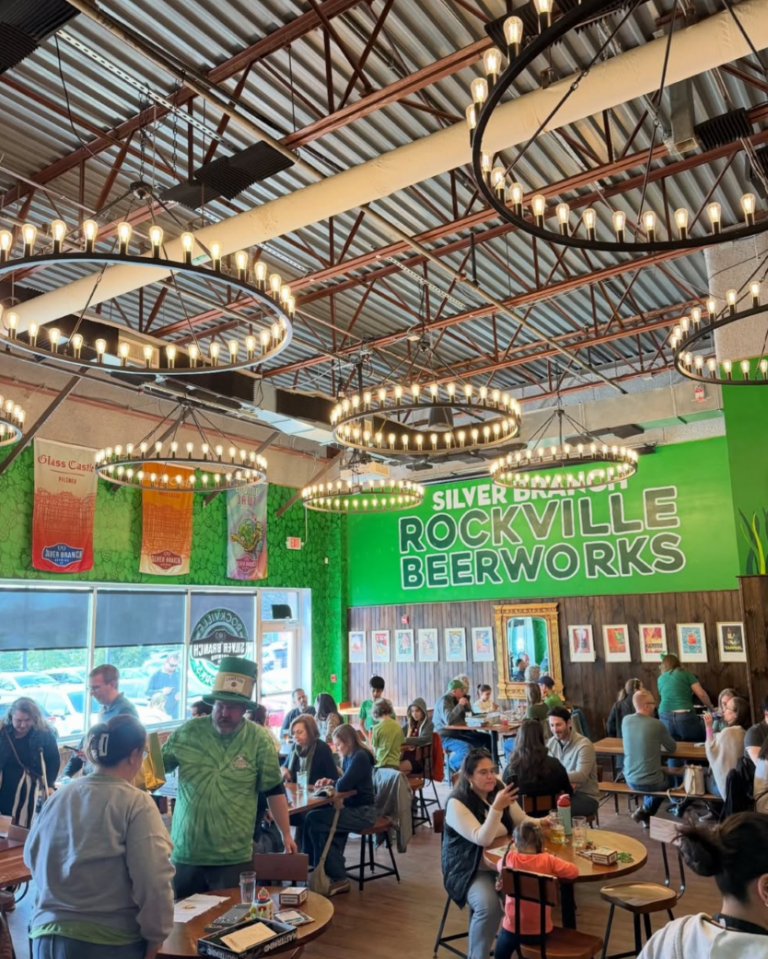 Silver Branch Interior 768x959
